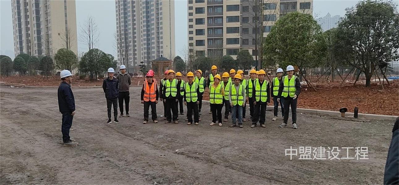 美麗瀟湘住宅小區(qū)項目工程—園林綠化及鋪裝工程